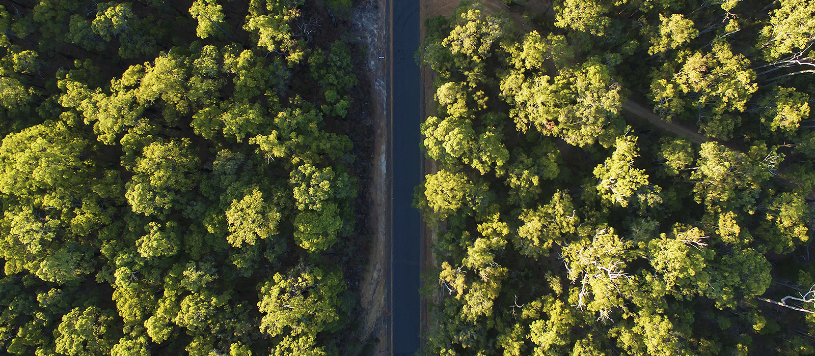 ISO 90012015 Certification Victory Foam